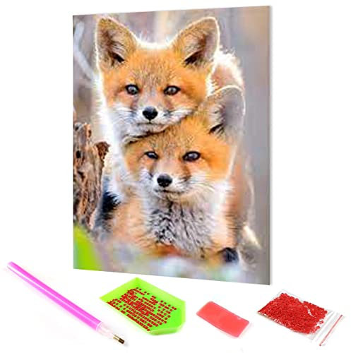 Hoobee 5D Diamond Painting DIY Set Fuchs, Diamond Painting Bilder Tier, Diamond Painting Fuchs, Vollbohrer Stickerei Kreuzstich Kunst Handwerk für Zuhause Wanddekoration (30×40 cm)
