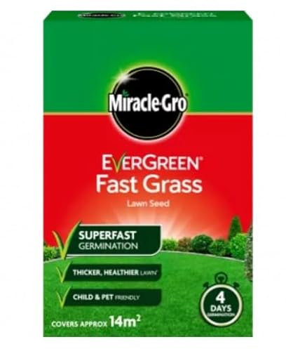 2 X Evergreen Fast Grass Lawn Seed