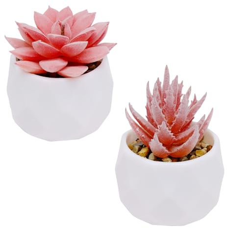 Lot de 2 plantes succulentes artificielles en pot en plastique blanc - Mini plantes grasses décoratives roses pour intérieur, maison, bureau, chambre, salon, table