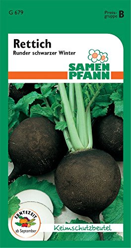 SAMEN PFANN® Rettich, Runder schwarzer Winter - Gemüse-Samen Rettich-Samen Saatgut Samen (Raphanus sativus)