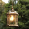 Reisx Suspension extérieure lustre suspendu lustre Creative E27 Edison pendentif en verre villa terrasse garage pavillon éclairage au plafond (Color : Bronze)