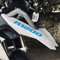 Black Doves Graphics 2pcs Aufkleber R1200 kompatibel für Motorrad BMW R1200GS R 1200 GS Adventure (Bläulich)