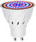 Grow Light Bulb 60 LEDs GU10 Plant Growth Full Spectrum Horticultural Lamp 220V Indoor for Succulents, Garden