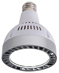TopHomer PAR30 Schienenlicht, E27 LED Lampe LED-Schraube Hohe Farbwiedergabe 45 W-Spotlicht für Zuhause, Bekleidungsgeschäfte, Obstläden, Schwimmbäder (Weißes Licht 6000K)