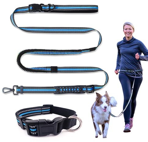 TOEECY Hundeleine Set Elastische Joggingleine mit Halsband Reflektierend Nylon Laufleine Hundehalsband Verstellbar Strapazierfähig