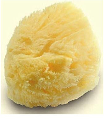 Large Luxurious Greek Silk Soft Natural Sea Sponge Adult Bath