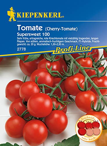 Cherry-Tomate Supersweet 100, F1, sehr frühe ertragreiche Kirschtomate mit vielzählig tragenden langen Rispen