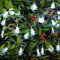 AUAUY Luci di Natale, 6M 40 LED Catena Luminosa Fiocco di Neve a Batteria Luci Stringa Natalizie Decorazione, per Natale Matrimonio Compleanno Festa Fecorazione Interna ed Esterna (Bianco Freddo)