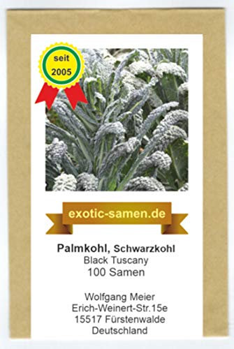Palmkohl - Schwarzkohl - der Urkohl - Black Tuscany - milder als Grünkohl - 100 Samen