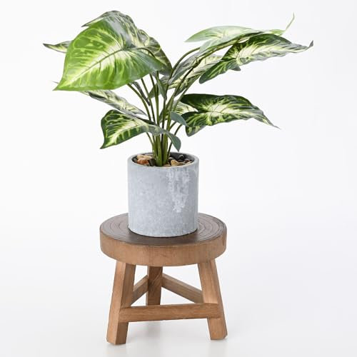 MCDSAJ Mini Tabouret en Bois pour Plantes - 17 cm, Décoratif Rond, Rehausseur de Pot de Fleurs, Support pour Plantes en Pot, Étagère pour Succulentes et Bonsaï