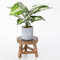 MCDSAJ Mini Wooden Stool Plant Stand,6.7 Inch Decorative Round Wood Pedestal Stool Plant Pot Riser,Vintage Mini Plant Stand Potted Plant Shelf Succulents Bonsai Rack