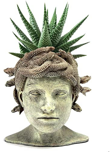 Medusa Kopf-Übertopf, großer massiver Stein-Übertopf, große Gartendekoration, Statue, Blumen- und Übertopf, wasserdicht, handgefertigt, Original-Skulptur – Gothic-Gruselpflanzenhalter