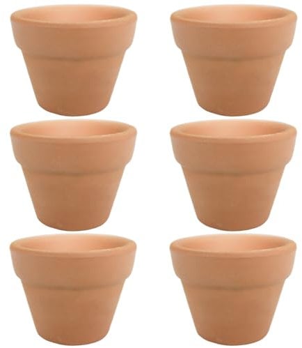 Molyorch 6 Pezzi vasi in Terracotta,Vaso Terracotta in Argilla Rosso, Piante Terracotta Vaso, Argilla Set Vaso, per Matrimonio Compleanno Casa e Ufficio Decorativo (10 * 10cm)