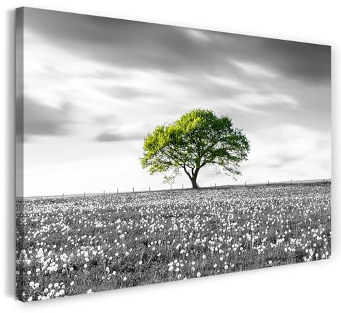 Printistico Leinwandbild (40x30cm) Baum auf Wiese mit Pusteblumen - Landschaft, Natur Fotografie, echter Holz-Keilrahmen inkl. Aufhänger, handgefertigt in Deutschland