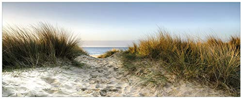 Wallario Glasbild Weg durch die Dünen zum Strand am Meer - 32 x 80 cm Wandbilder Glas in Premium-Qualität: Brillante Farben, freischwebende Optik