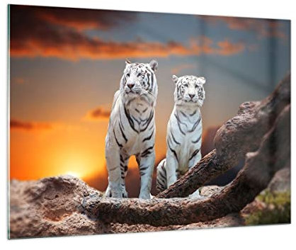 ARTTOR Bilder auf Glas 100x70cm Glasbild Tiger weiß Rock Sonnenuntergang Groß Wanddeko Bild im Glas Schlafzimmer Küche Deko Wandbilder Dekoration Wohnzimmer Modern Wand Kunstdruck Art GAA100x70-2901
