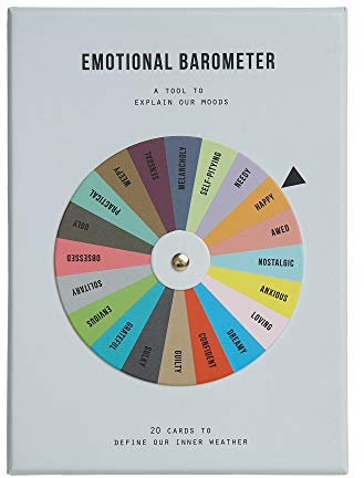 The School of Life - Barometro emotivo - Uno strumento per spiegare i nostri stati d'animo