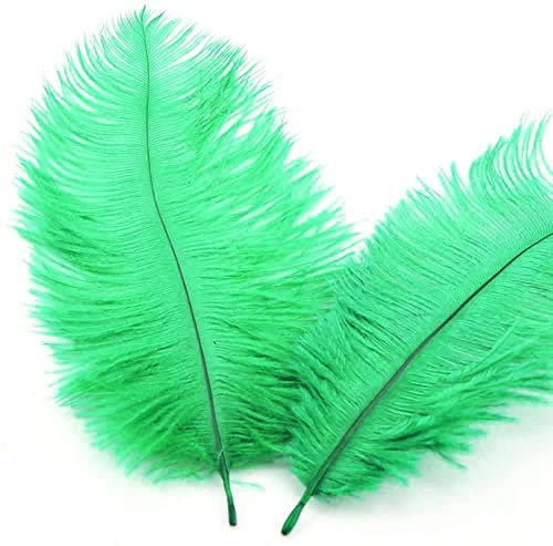30 Stück 15-20cm Natürliche Straußenfedern,Strauß Feder zum Basteln,Bastel Federn für DIY Traumfänger Zubehör,Heimdekoration,KostüMe,Tischdeko Hochzeit Party Fest Hüte Kleidung Dekoration,Gras-Grün