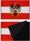 Österreich Patches Klett | Klett Patch Austria hook and loop Patch Velkro, Klett Patch Österreich, Militär Patch mit Klettverschluss Tactical Morale Patches mit Klett | 40x60mm
