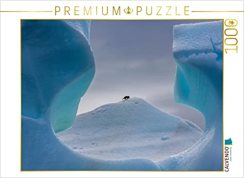 CALVENDO Puzzle Antarktis - Pinguin im Fenster | 1000 Teile Lege-Größe 64 x 48 cm Foto-Puzzle für glückliche Stunden