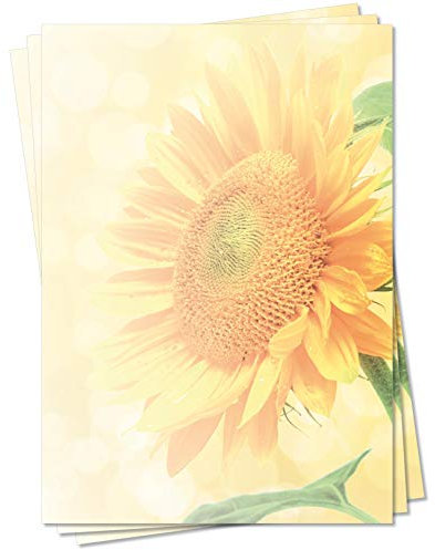 Motiv Briefpapier (Sommer-5094, DIN A4, 25 Blatt) Briefpapier mit großer goldener Sonnenblume im Sommer-Sonnenlicht