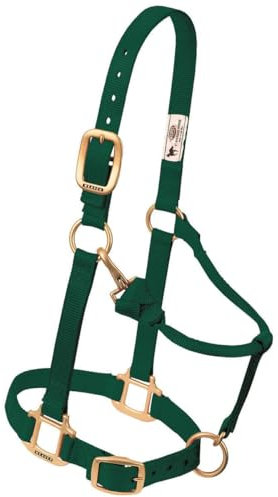 Weaver Leather Original Verstellbares Pferdehalfter aus Nylon, kleines Pferd, Grün (Hunter Green)