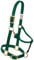 Weaver Leather Original Verstellbares Pferdehalfter aus Nylon, kleines Pferd, Grün (Hunter Green)