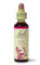 Bach Original Flower Remedies (Elm) Find Joy & Hope, Be Efficient, Emotional Wellness, Natural Flower Essence, 20ml