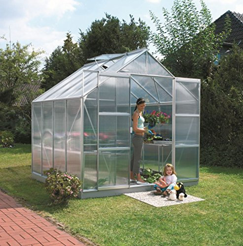 Vitavia Gewächshaus Mars - Ausführung: 6700 HKP 6 mm Alu, Fläche: ca. 6,7 m², Fenster: 2, Maße: 257 x 258 cm, Sockel: 255 x 255 cm,