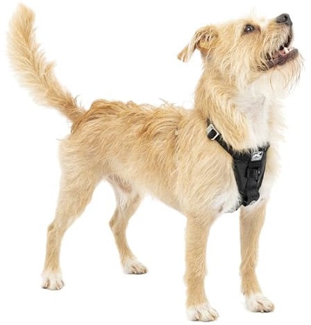 Kurgo Enhanced Strength Tru-Fit Dog Car Harness, Crash Tested, Steel Nesting Buckles, Includes Seatbelt Tether, Extra Small-Black