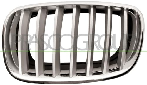 PRASCO Kühlergitter BM8222014 links | Kompatibel mit: BMW X5