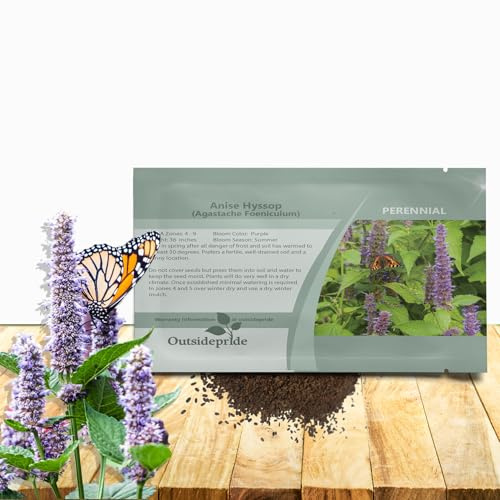 Outsidepride Purple Anise Hyssop Seeds for Planting - 5000 Pcs Perennial Herb Garden Seeds with Fragrant Blooms Attractive to Pollinators, for Small Gardens, Containers, & Xeriscaping