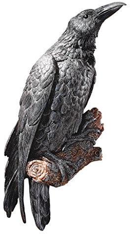 Design Toscano Der Halloween-Rabe Gothic-Dekor Wandskulptur, Polyresin, vollfarbe, 46 cm