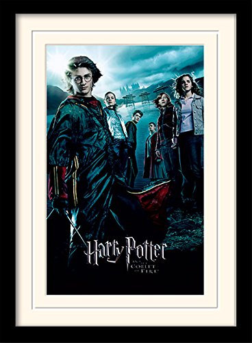 Harry Potter Goblet of Fire Mounted and Framed Print, 30 x 40 cm