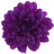 Zac's Alter Ego Fleur de chrysanthème sur pince et broche, violet,