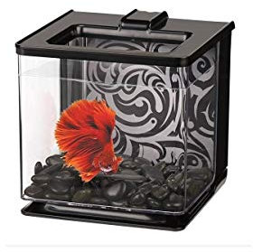 Marina Aquarium Betta EZ Care, Schwarz