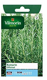 Vilmorin - Semi Rosmarino Officinali