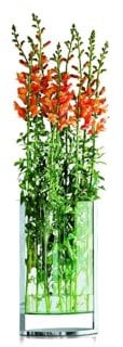 PHILIPPI - Decade Vase L - Klassiker Blumen schweben über dem Tisch - Zeitlos und Elegant