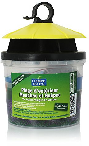 Etamine Du Lys Pareinsectes Piège à Mouches