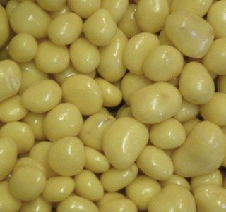 Yoghurt Coated Ginger