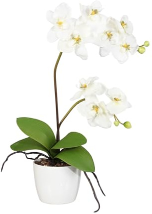 Orchidee Phal. 60cm, creme, im weißen Keramiktopf 13cm Kunstpflanze