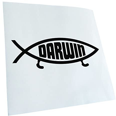 Kiwistar - Autoaufkleber - Schwarz - 15x5cm Darwin Fisch Aufkleber für Auto, Laptop, Fahrrad, LKW, Motorrad Mehrfarbig JDM Decal Racing
