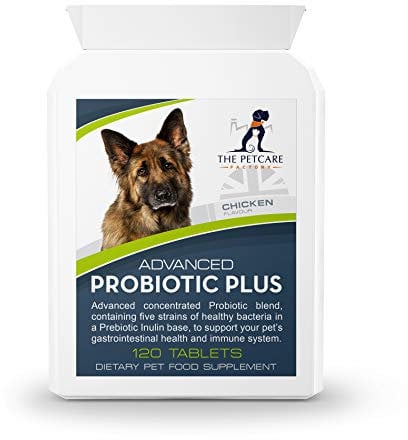 Advanced Probiotic Plus, 5 Powerful Strains of Bacteria in a Prebiotic Inulin Base, 2 Billion CFUs Per Tablet, Plus Digestive Enzymes, 120 Tablets, UK Manufactured to GMP Standards
