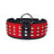 Bestia Star Hundehalsband mit Nieten und Innenpolsterung 6,5 cm breit