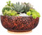 Fivepot 25,4 cm großer Terrakotta-Sukkulenten-Übertopf für Garten, Pflanzschale, tiefer Blumentopf, Innen- und Außenbereich, Dekoration, Drainage, Bambus-Tablett