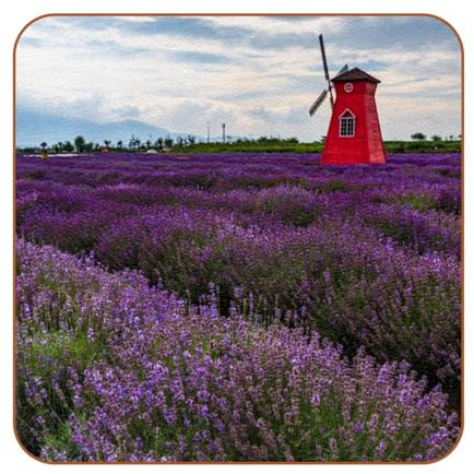 Lavender Manor Getränkeuntersetzer Set mit 6 Stück mit Paket – wunderschön gemusterte Untersetzer, 10,2 cm, geeignet für Arten von Tassen und Picknicks im Freien