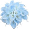 Veryhome 20 Stück Künstlich Calla Lilie Braut Blume Latex Wahre Berührung Familie Dekoration Party Hochzeit Hotel Dekoration Blumenstrauß (Himmelblau)