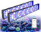 PopBloom H54 WiFi Meerwasser LED 110W, mit Aufhängeset, Salzwasser LED Beleuchtung für Reef Coral Fish Wasserpflanzen Salzwasser Aquarium (für 100-140cm)