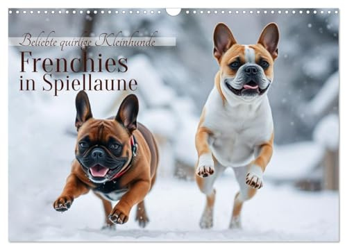 Frenchies in Spiellaune (Wandkalender 2026 DIN A3 quer), CALVENDO Monatskalender: Beliebte quirlige Kleinhunde (CALVENDO Tiere)