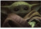 Komar Star Wars Wandbild | Mandalorian The Child Cute Face | Dekoration, Poster, Kunstdruck | Größe 70 x 50 cm | WB-SW-005-70x50, Bunt